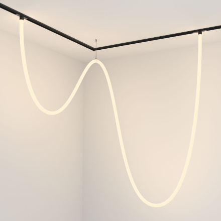 Трековый подвесной светильник Maytoni Tau TR101-2-100W3K-B