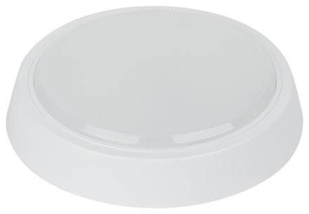 Настенно-потолочный светильник Эра SPB-301-2-4K-20 Б0055046