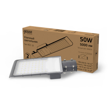 Уличный консольный светильник Gauss Avenue 629534150