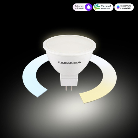 Умная светодиодная лампа Elektrostandard BLG5318 4690389217166 a071007