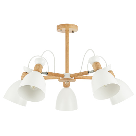 Потолочный светильник EVOLUCE BALCAMO SLE103802-05