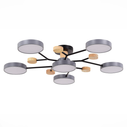 Люстра на штанге Evoluce Faema SLE6006-702-06