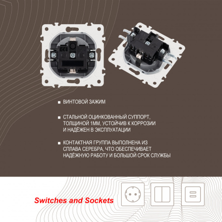 Розетка с заземлением и шторками Arte Milano 205.40-1.silver