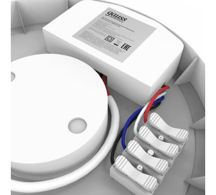 Настенно-потолочный светильник Gauss Elementary 126411218A