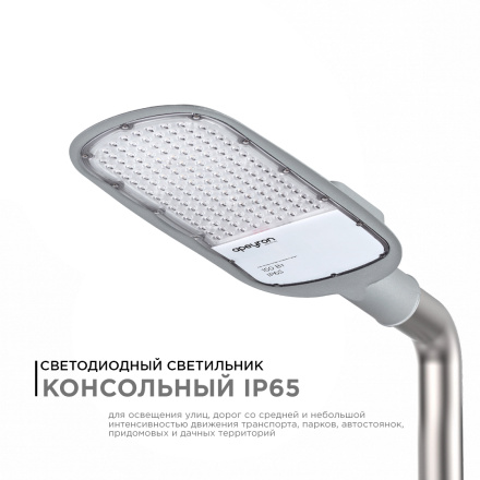 Уличный консольный светильник Apeyron 29-05