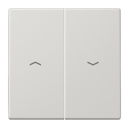 Клавиша для жалюзийного выключателя JUNG LS 990 LS995PLG