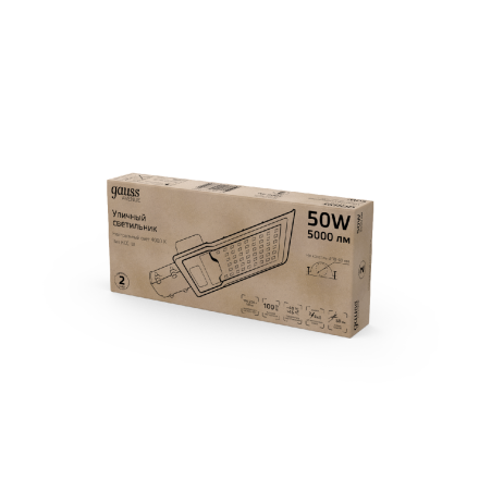 Уличный консольный светильник Gauss Avenue 629534250