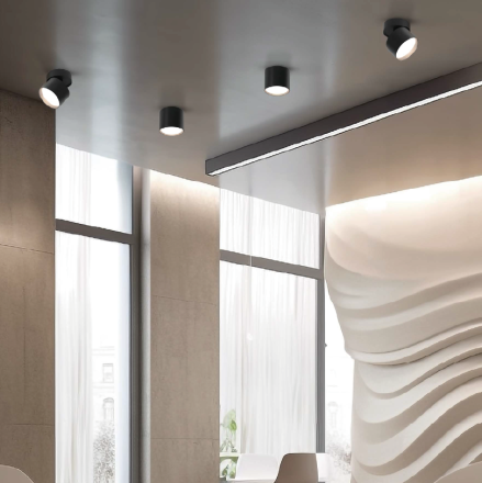 Спот Wolta Basic WSL-GX53/02BL