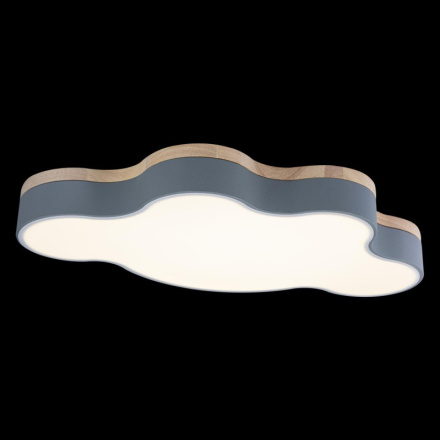 Потолочный светильник Loft IT AXEL 10005/36 Grey