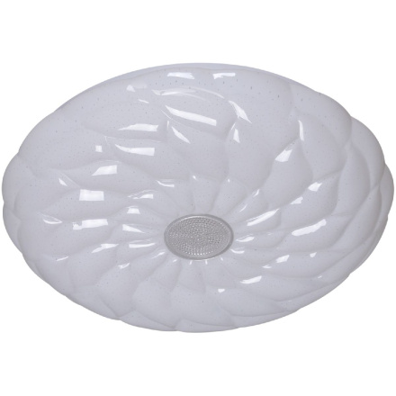 Потолочный светильник Reluce 00562-0.5-500