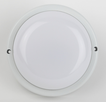 Настенно-потолочный светильник Эра SPB-201-0-65K-015 Б0047624