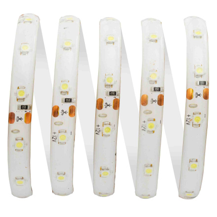 Светодиодная лента Apeyron 12В СТ 4,8Вт/м smd3528, 60д/м IP65 280Лм/м 5м 6500К 08BL