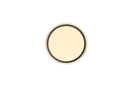 Потолочный светильник Zortes Bella ZRS.1201.04