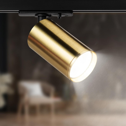 Трековый светильник Эра TR39-GU10 BS Б0053311