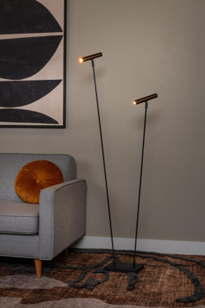 Торшер Lucide Duarte 03751/02/96