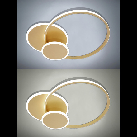 Потолочная люстра Natali Kovaltseva LED LAMPS 81306