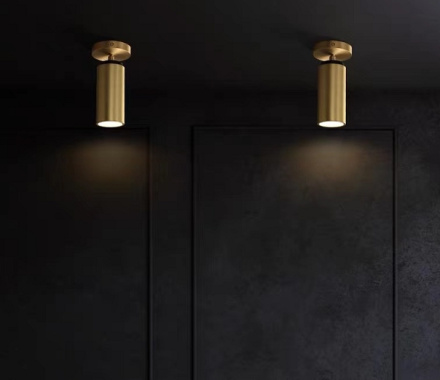 Спот iLamp Plum 8861C BR-BK