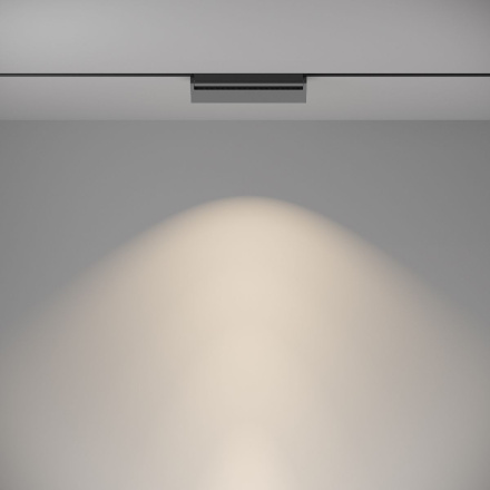 Трековый светильник Maytoni Track lamps TR013-2-20W4K-B