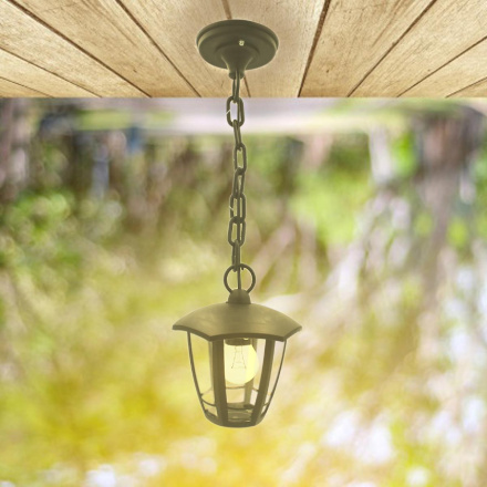 Уличный подвесной светильник Apeyron Марсель НСУ 07-60-002 У1 11-173