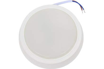 Настенно-потолочный светильник Gauss Basic 193411212B