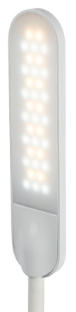 Настольная лампа Эра NLED-481-10W-W Б0048591