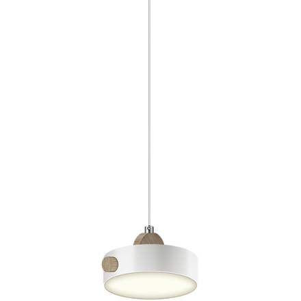 Подвесной светильник Ritter Scandia 52077 1