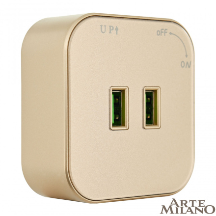 Трековая розетка Arte Milano Am-track-sockets 380022TS/USBx2 Gold
