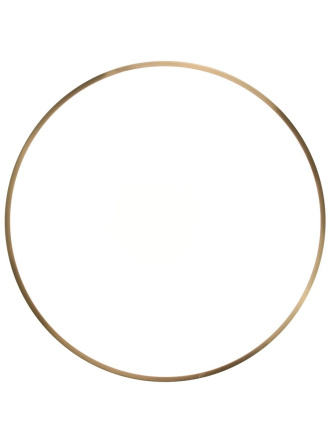 Потолочный светильник Zortes Monna ZRS.1209.12