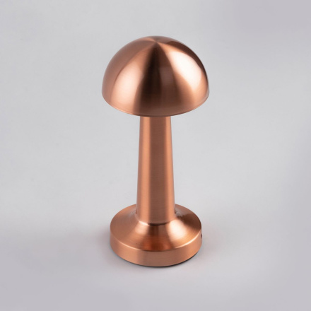 Настольная лампа Escada Evo 10257/L LED