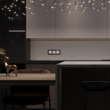 Сенсорный выключатель двухклавишный с подсветкой Werkel 4690389198021 W4522001 a063598