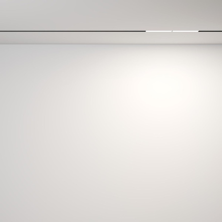 Трековый магнитный светильник Maytoni Parete TR106-4-12W-DS-B