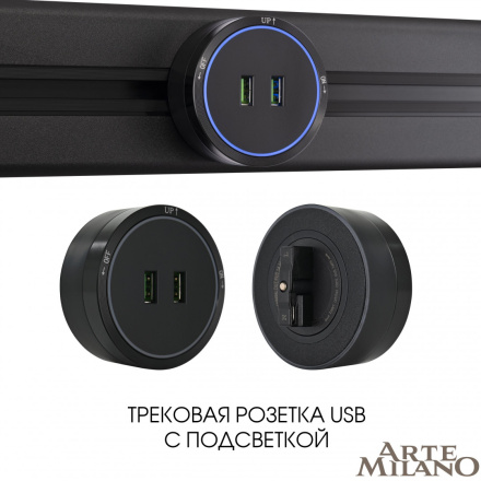 Трековая розетка Arte Milano Am-track-sockets 380066TS LED/USBx2 Black