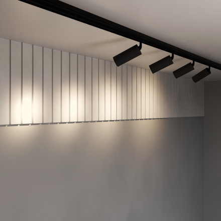 Трековый светодиодный светильник Maytoni Technical Focus Led TR032-2-20W3K-S-B