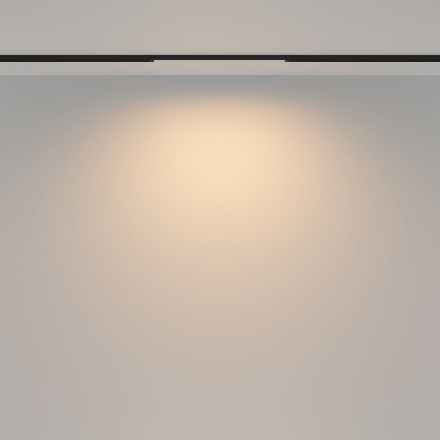 Трековый магнитный светильник Maytoni Basis TR173-1-8WTW-B