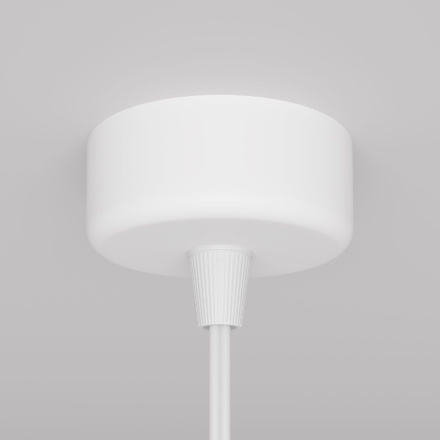 Подвесной светильник Maytoni Shelby P038PL-01W