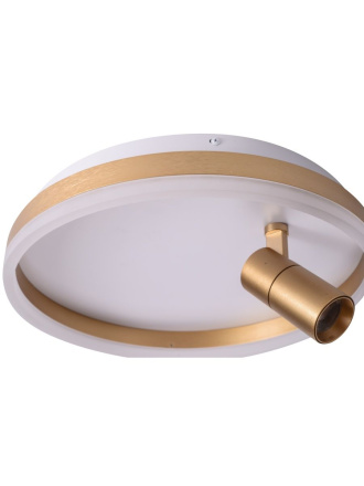 Потолочный светильник Zortes Raizy ZRS.1888.04