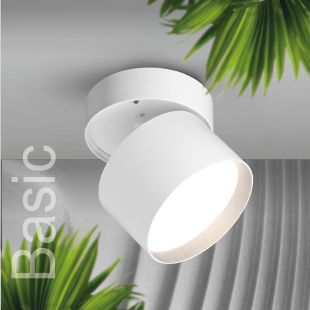 Спот Wolta Basic WSL-GX53/02W