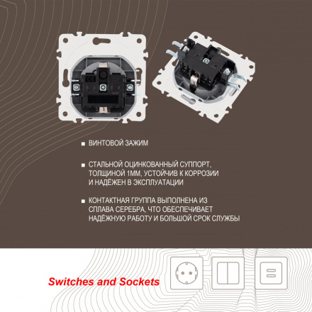 Розетка с заземлением, шторками и защитной крышкой Arte Milano 205.41-1.silver