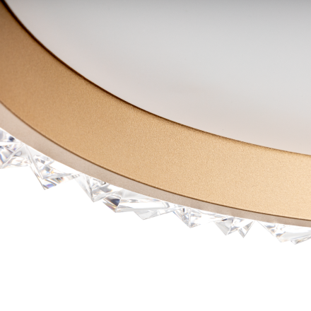 Потолочная люстра Ritter Galassia 51578 8