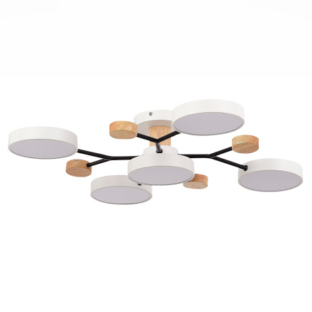 Люстра на штанге Evoluce Faema SLE6006-502-05