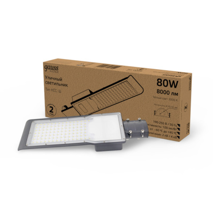 Уличный консольный светильник Gauss Avenue 629534180