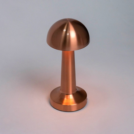 Настольная лампа Escada Evo 10257/L LED