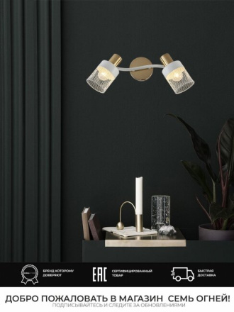 Спот Seven Fires Felikian SF4704/2W-FGD-WT