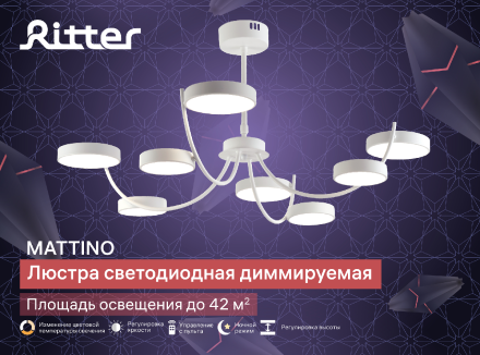 Люстра на штанге Ritter Mattino 51661 7