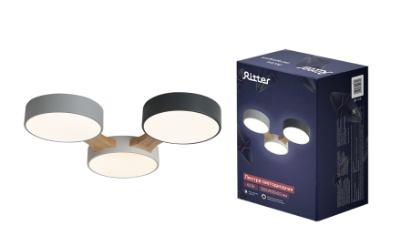 Потолочная люстра Ritter Scandia 52070 2