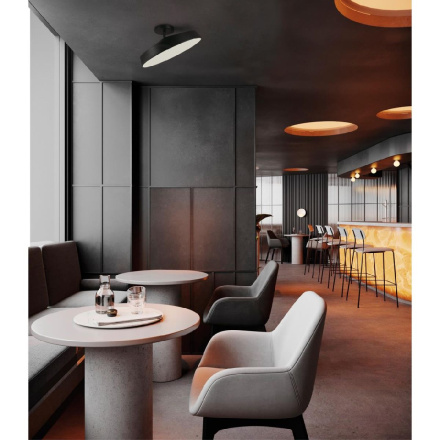 Потолочный светильник Sonex Mira black 7656/48L