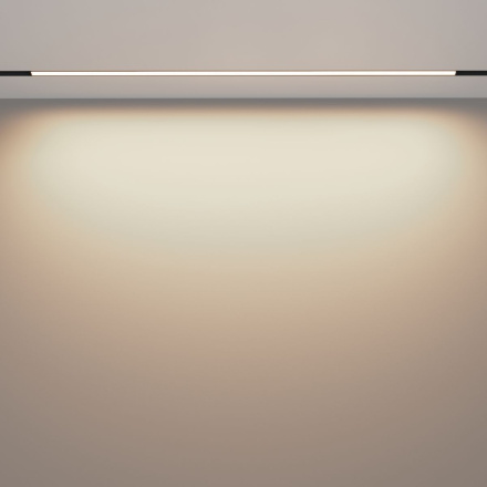 Трековый магнитный светильник Maytoni Basis TR030-2-30W3K-B