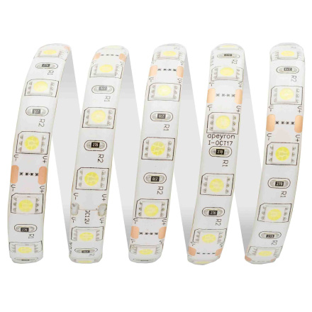 Светодиодная лента Apeyron 12В СТ 14,4Вт/м smd5050 60д/м IP65 700Лм/м 5м 6500К 10BL
