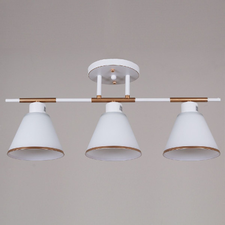 Потолочная люстра Reluce 07594-0.3-03 WG