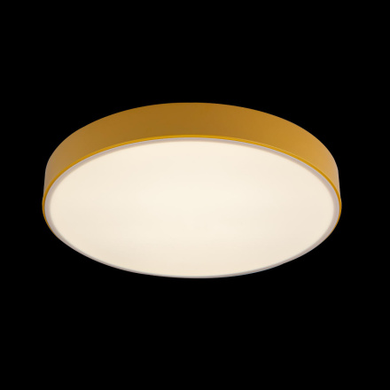 Потолочный светильник Loft IT AXEL 10002/24 Yellow